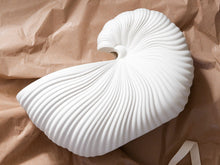 Ladda upp bild till gallerivisning, FERM LIVING | Shell Pot - Off White
