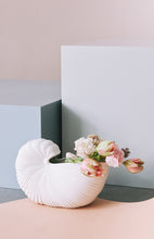 Load image into Gallery viewer, FERM LIVING | Shell Pot - Off White

