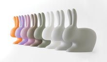 Afbeelding in Gallery-weergave laden, QEEBOO | Rabbit Chair (Small Size) - Indoor / Outdoor - (Multiple Colours Available)
