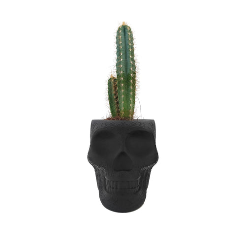 QEEBOO | Mexico XS - Pen Holder & Planter - (Multiple Finishes Available)