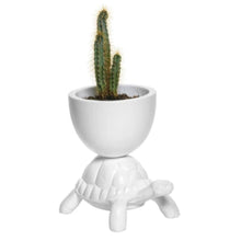 Load image into Gallery viewer, QEEBOO | TURTLE CARRY XS PLANTER
